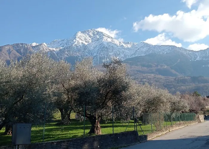 아파트 Smile 콜리코