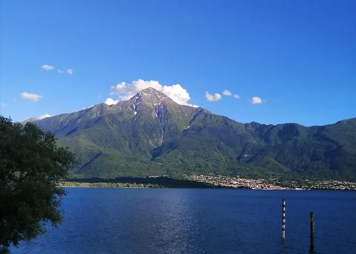 Smile 아파트 콜리코